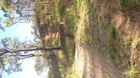 Big Crash