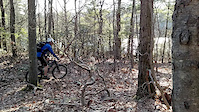 The Gnomes of Huntington State Park CT