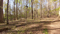 Shady Side Trail ride