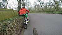Ganol woods