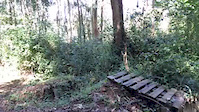 Giba crash vid 1