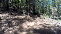 the flow trail
