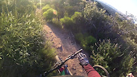 Local Trails