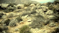 south-ridge