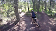 Predator Ridge to Ellison Park