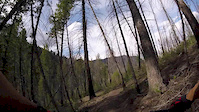 Spring Riding