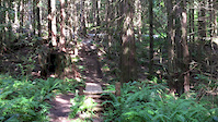 Burke Mountain pre-dodger 2