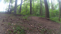 Aucincruive Trail
