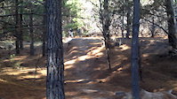 Goat Track at Tuggeranong Pines