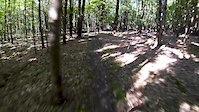 Some descents from Lackawanna State Park