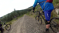 toms trail