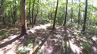 First Time Screamer Trail Downhill