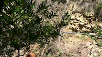 Lower steps section of san ysidro