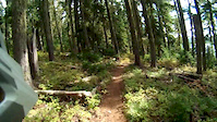 Waldo Lake 9 Oakridge, OR