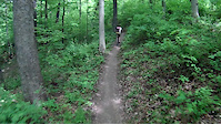Pine Loop Brown County, IN