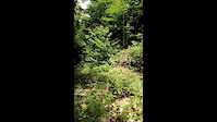 Reid Vice 3.0 Hardtail test ride