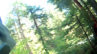 McKenzie River 4 Bend, OR