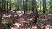 Nursery Trail