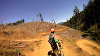 Kleeway a1 pan with Bob