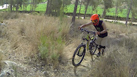 Lachish Highlights