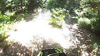 Big Bear trail