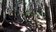 M.H super steep A-frame