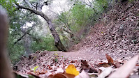 Briones - Blue Oak Shortcut