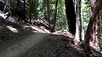 First Time at Demo Forest