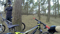 Perry Woods