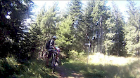 verbier_woods_switchbacks