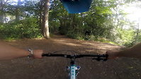 Bird Aeris 150 set up
