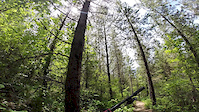 GoPro of the World clip submission