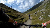 passo trela