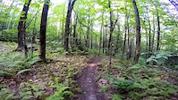 Brewester River Mtb Club Trailes