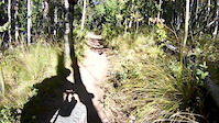Technical Switchback on Colorado Trail