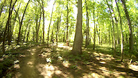 Fort Custer, MI 2016 Red Trail 3
