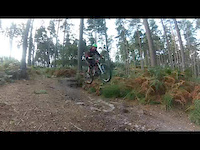TEAM B1KE - Swinley forest
