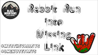 Rabbit Run Into Missing Link - Black Mountains...