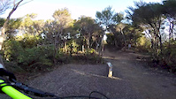 491 Wainuiomata POV Raw