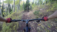 Todd Crashes