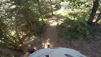 Enchanted Forest/Apex