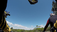 Pavão track