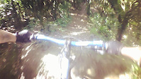 Wellington Shuttles (Jail brake, Mt...