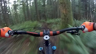 Cougar Ridge