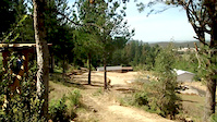 Tarima