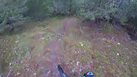 Ridge Trail Sooke Hills