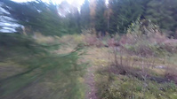 Exploring