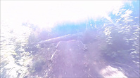 Summer freeride