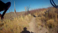 Drop bar DH on a bamboo road bike