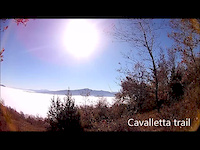 Cavalletta trail